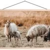 Wanddoek Sheep Canvas -Woonmeubelwinkel sheep canvas