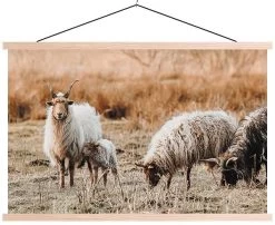 Wanddoek Sheep Canvas