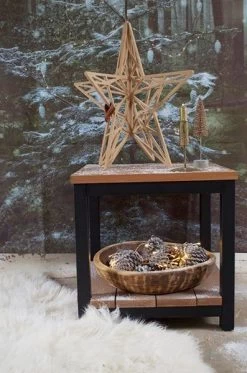 Geometrische Kerstster 3D