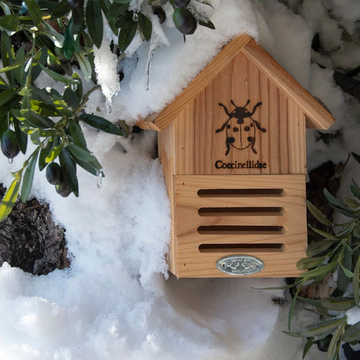 Lieveheersbeestkastje Silhouet 5 Lieveheersbeestkastje Silhouet - Afbeelding 3